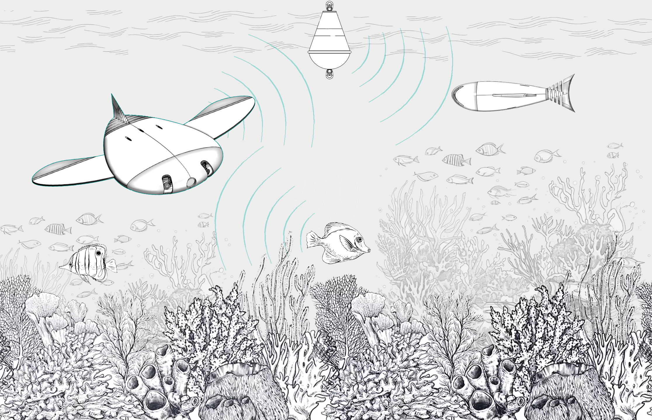 Autonomous glider and sonar relay network over a coral reef